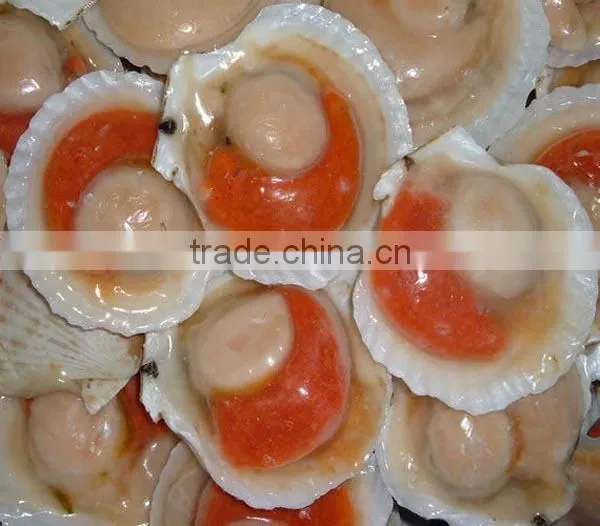 Frozen roe-on scallop