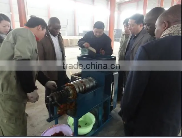 Top quality palm fruit oil processing machine