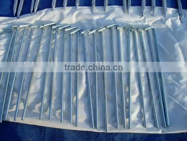 Tent Peg/Galvanized Pegs