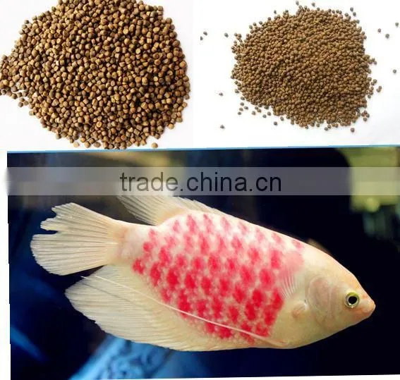 floating fish pellet making machine DGP60 factory direct selling