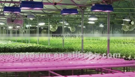 High power led grow light with 1w leds adopted