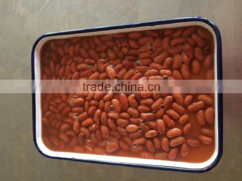 Canned Light Speckled Kidney Beans to Yemen market