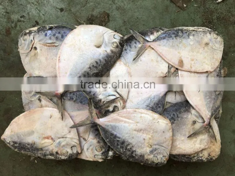 2016 China frozen whole round good quality Moon Fish 150-200g/pcs
