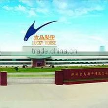 Zhangzhou Lucky Horse Colour Printing Co., Ltd. company overview - view 1