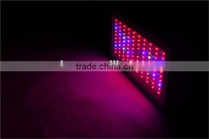 led light plant 600w greenhouse flowers and vegetables fill light