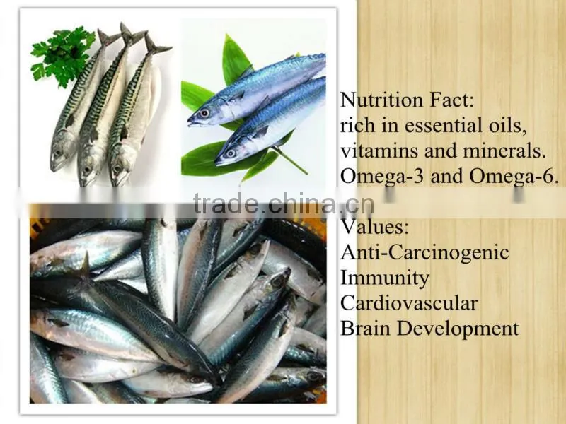 Mackerel Fish in Brine