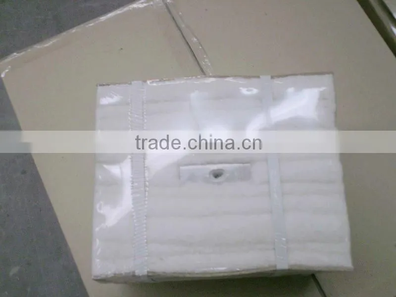 Ceramic Fiber Module (with S304 or S310 anchor)