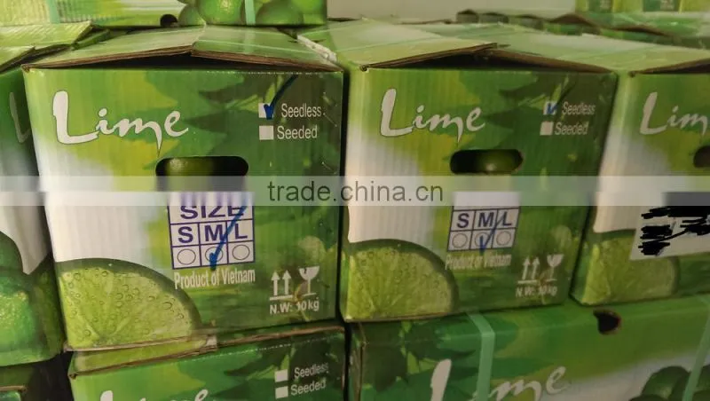Fresh Lime high quality and Best Price from Vietnam