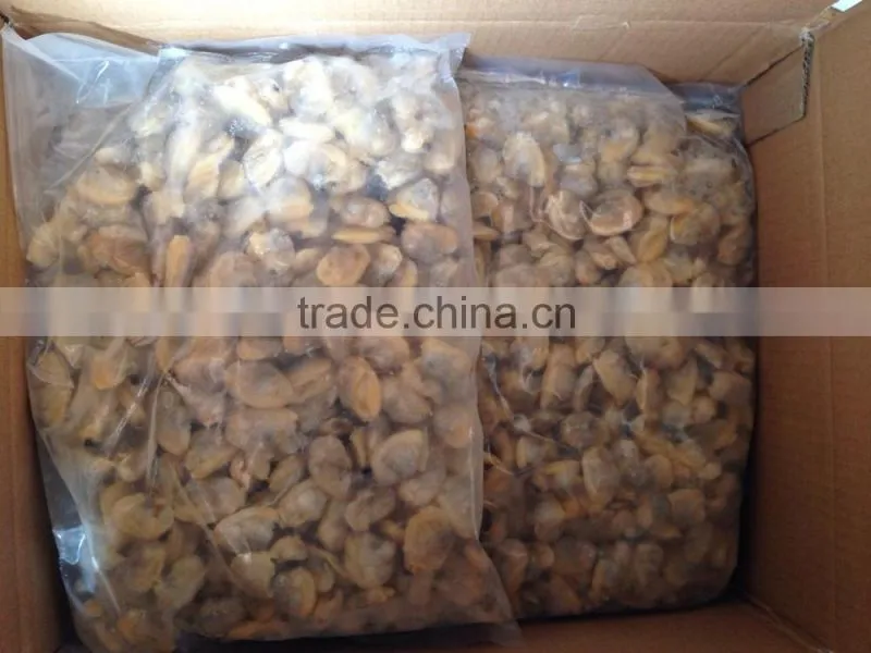 Frozen boiled surf clam meat with stomach removed