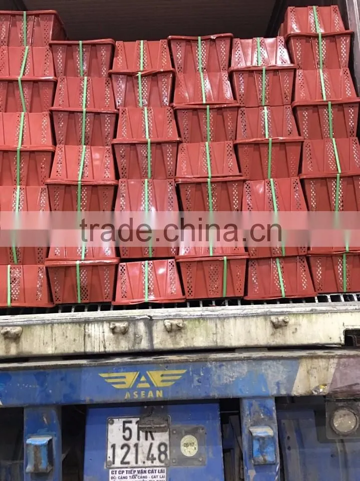 DALAT FRESH RED CHIILI