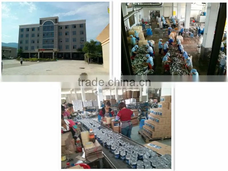 export canned mackerel brands ,canned mackerel