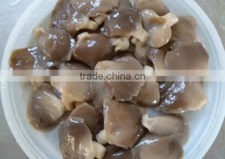 export boiled mushroom canned oyster mushroom pleurotus ostreatus