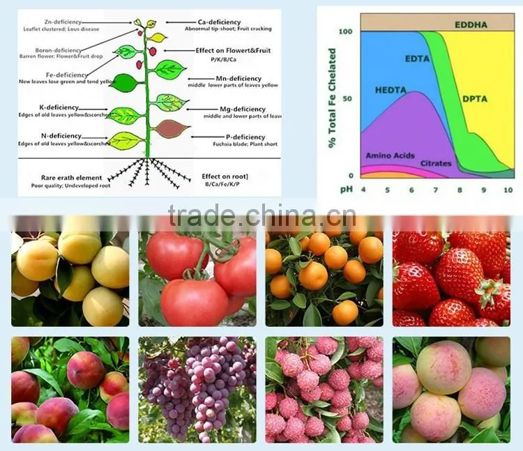 Plant growth promoter auxin fertilizer 4-CPA 4-Chlorophenoxyacetic acid 98%TC