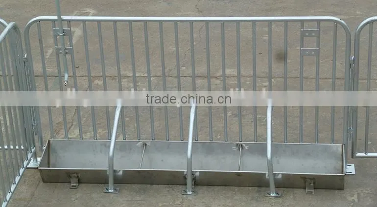Automatic Feeding System