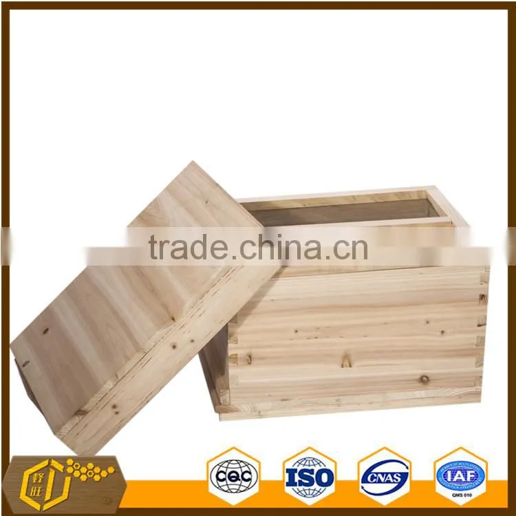 bee hive