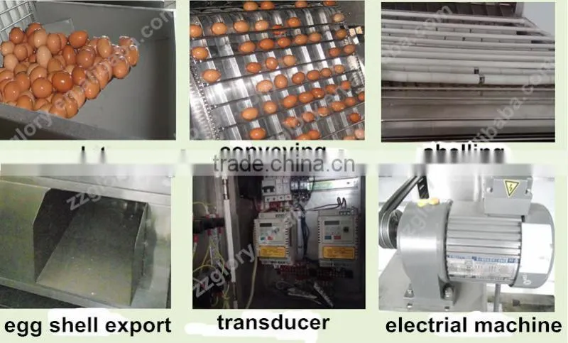 5000 eggs/h automatic egg peeler quail egg peeler egg peeler machine