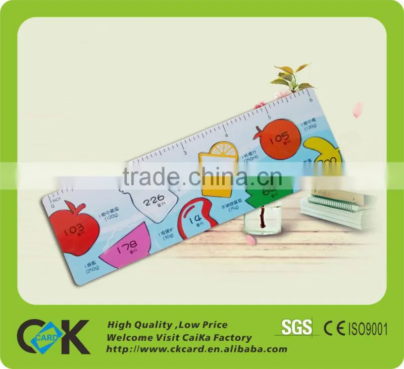 Custom Logo offset Printing PVC Ruler from China printing manufacturer