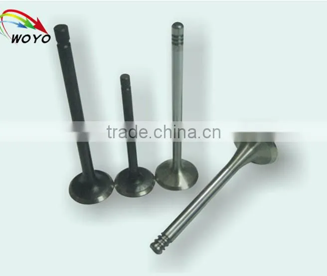 Automotive Iron sleeve Valve for tractor diesel engine