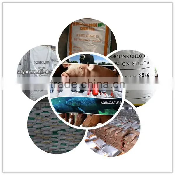 sell choline chloride for animal feed