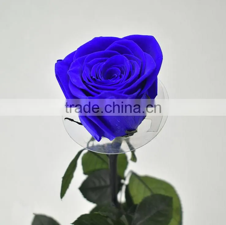 Fresh Cut Flowers Roses Long Lasting Big Rose Flower With Stem