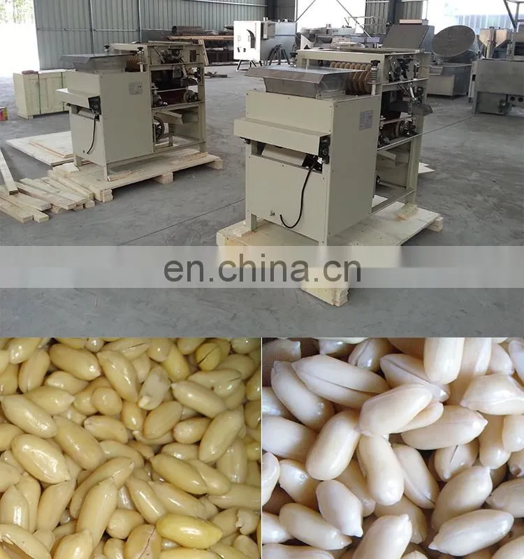 wholesales blanching peanut peeling machine in wet way