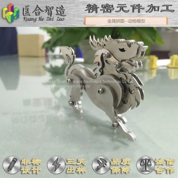 动物模型