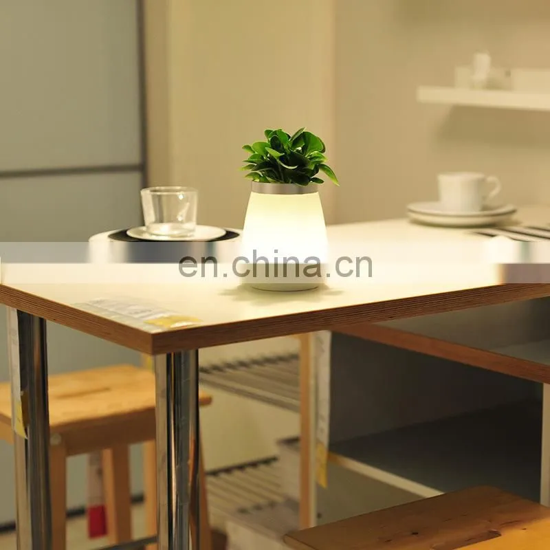 Creative table lamp LED energy-saving touch switch flower pot lamp