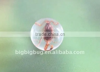 R25S01 Customizable Marble for Toy