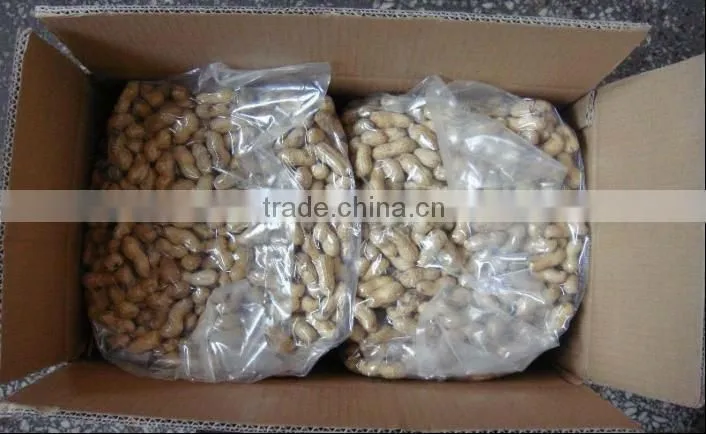 Chinese raw peanuts in shell