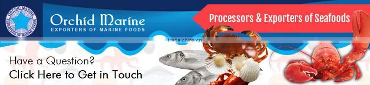 Wholesale Frozen Yellowfin Tuna Whole Round Price