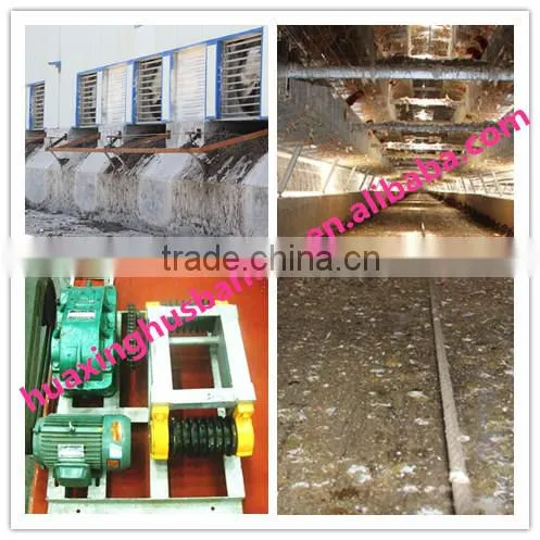 chicken broiler /cock cage with automatic poultry equipment