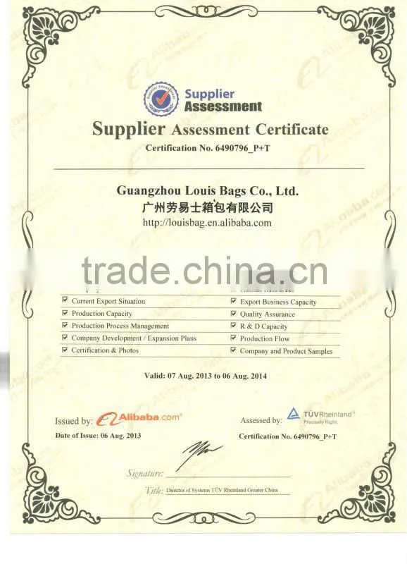 Guangzhou Louis factory insulated cooler bag for frozen food