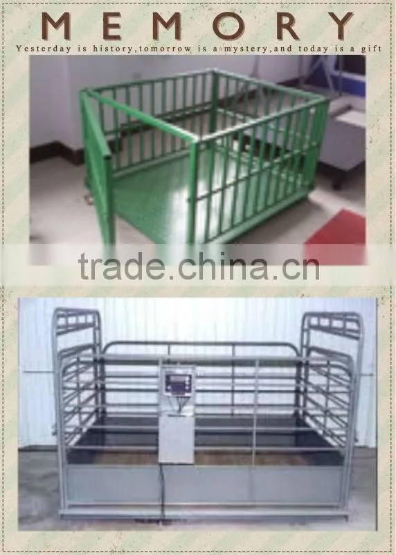 livestock platform scales