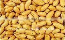 SHANDONG ROASTED DICED PEANUT 8-14 MESH