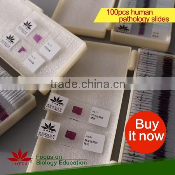 lab Prepared Slides , Glass Prepared Slides,science prepared slides