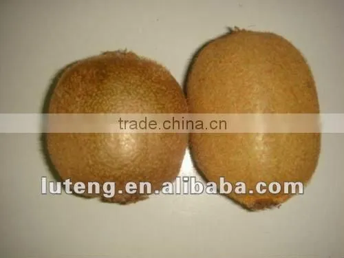 2016 new crop chinese fresh kiwi fruits with good quality