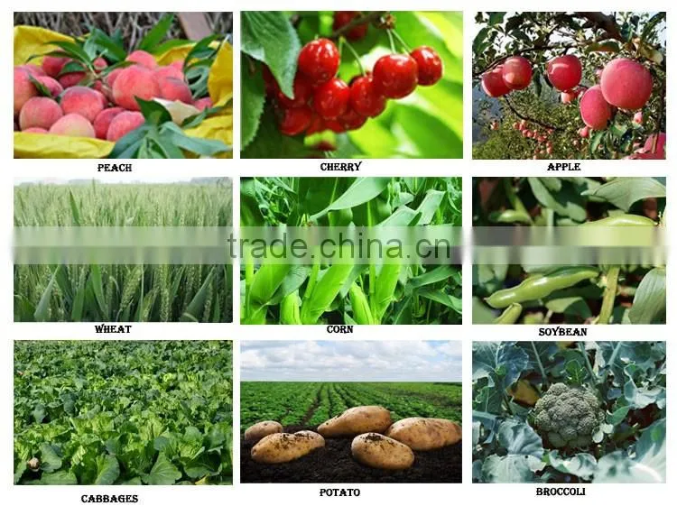npk fertilizer prices