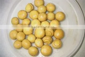 champignon mushroom