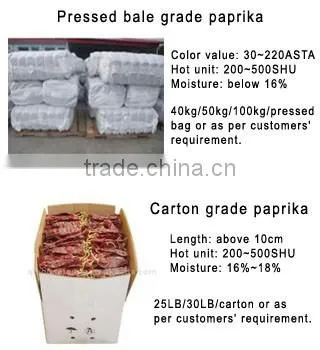 Chinese Water Washed Paprika Pod/Dried Chili