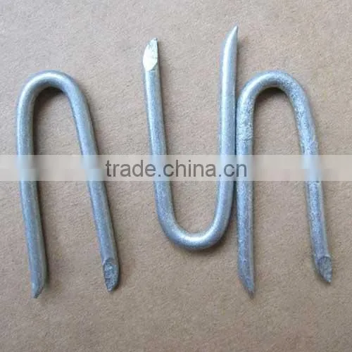 Cheap 2.5X50mm Common Iron Nails