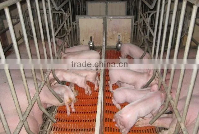 pig farming equipment plastic slat floor made in china