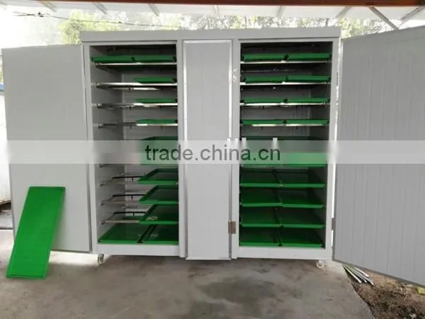 new type automatic barley sprout machine