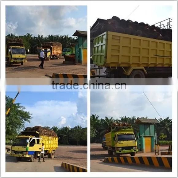 palm oil extraction machine palm kernel oil extraction machine