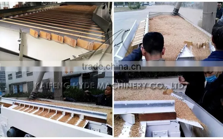 5XZ Paddy rice grain gravity separators for sale