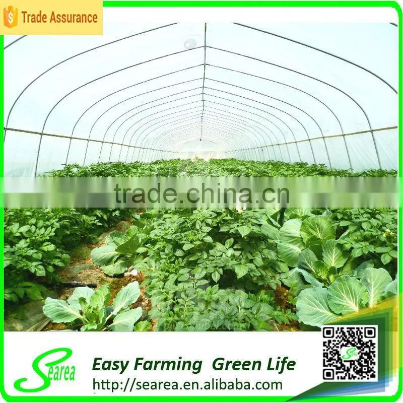 Searea Single Tunnel Greenhouse