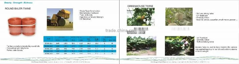 Polyester ropes for boat rigging and dock lines