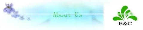 Top quality woven nylon shoulder tape satin surface lingerie elastic band