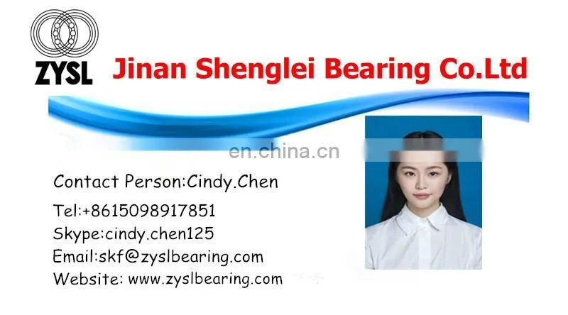 Germany bearing SL 05020 E Outer Spherical Cylindrical Roller Bearing SL05020E