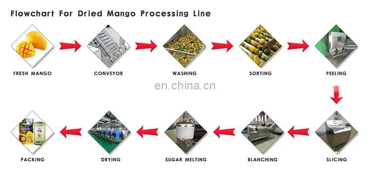 Automatic dry/dried/drying fruit plant machine processing line manufacturer