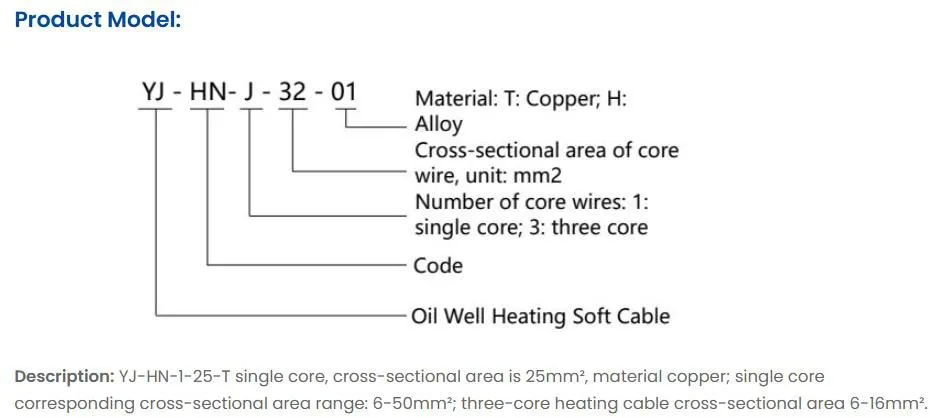 model structure.jpg